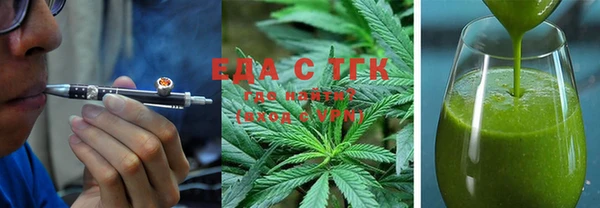 индика Богородск