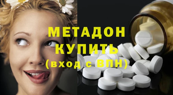 индика Богородск