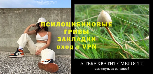 индика Богородск
