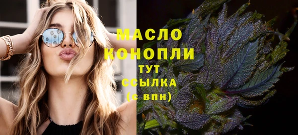 индика Богородск