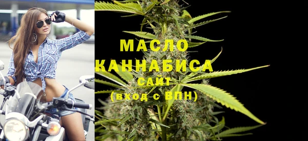 Альфа ПВП Бородино