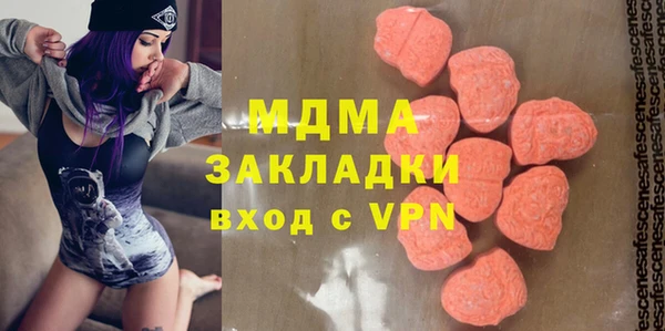 индика Богородск