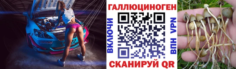 Псилоцибиновые грибы Cubensis  Ялуторовск 